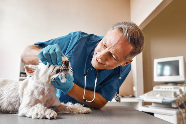 Best Emergency Root Canal Treatment in Charlotte, TX